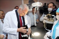 DÜNYA HAYVANLARı KORUMA GÜNÜ - İBB Başkanı Mevlüt Uysal Açıklaması 'Can Dostlarımızın Yanındayız'