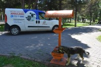 DÜNYA HAYVANLARı KORUMA GÜNÜ - Kocasinan'da Küçük Dostlar İçin Her Gün '4 Ekim'