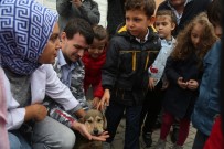 İGUANA - Minik Hayvanseverler,  Hayvan Dostlarıyla Buluştu