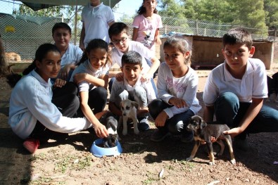 Minik Öğrenciler Barınaktaki Hayvanları Besledi