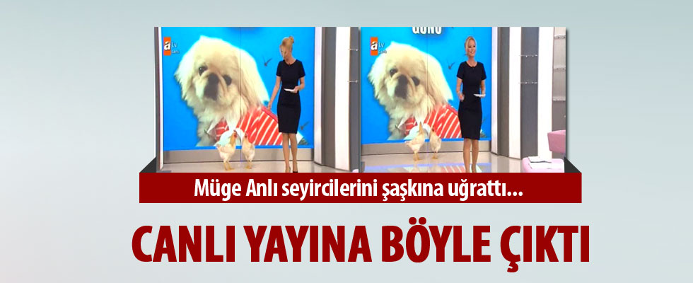 Müge Anlı canlı yayına horozlarıyla çıktı