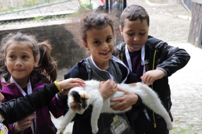 Samsun'daki 'Kedi Kasabası'nda Çocuklara Hayvan Sevgisi Aşılandı