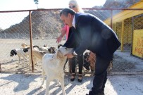 TAŞ OCAĞI - Seydişehir'de Hayvan Barınağı Hizmette