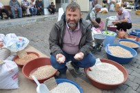 KURU FASULYE - Simav Göl Fasulyesi Zamma Direniyor