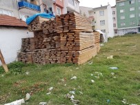 DÜNYA HAYVANLARı KORUMA GÜNÜ - Yavru Köpek İçin Seferberlik