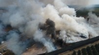 GÖKÇELI - Adana'da Çırçır Fabrikasında Yangın