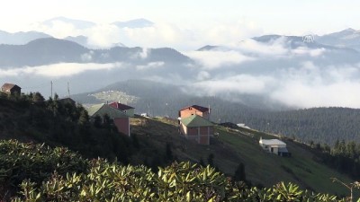 Karadeniz Yaylalarında Güz Vakti