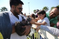 DÜNYA HAYVANLARı KORUMA GÜNÜ - Karşıyaka'da En Sevimli Festival