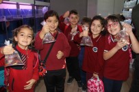 SELÇUK ÇETIN - Petzoo Ankara Fuarı 2'İnci Kez Kapılarını Açtı