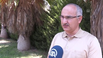 Türkiye'den İki Yeni Bitki Dünya Literatüründe