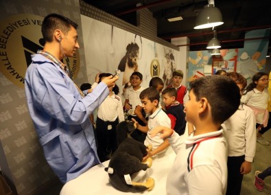 Yenimahalle'nin Minikleri, Can Dostlarının Haklarını Öğrendi