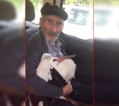 70'Lik Dededen İnsanlık Dersi