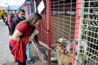 Can Dostları Unutmadılar