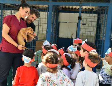 Hayvan Barınağında Çocuklara Hayvan Sevgisi