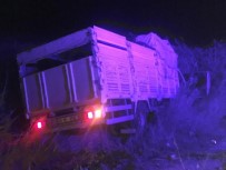 Kamyon Ağaca Çarptı Açıklaması 1 Yaralı