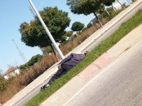 Orta Refüjde Uyuya Kaldı