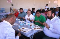 DEVE GÜREŞİ - Ayvalık'ta Hüsnü Baysal Unutulmadı