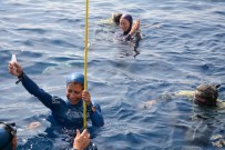 ŞAHİKA ERCÜMEN - CMAS 3. Serbest Dalış Outdoor Dünya Şampiyonası'nda 6 Dünya Rekoru Kırıldı