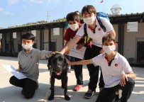 KARABAĞ - Öğrenciler Can Dostları Ziyaret Etti