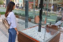 ALİ ÇETİNKAYA - Ali Çetinkaya Açık Hava Müzesine Dönüştü