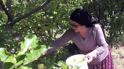 Elmaları Değerlendirmek İçin Başladı Şimdi Türkiye'ye Satıyor