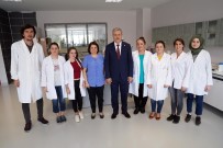 REKTÖR BUDAK - Gübre Ve Biyolojik Mücadele İçin Bakteriden Tarımsal İlaç Elde Edildi