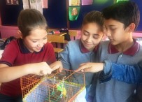 DÜNYA HAYVANLARı KORUMA GÜNÜ - Ortaokul Öğrencilerinden Farklı Etkinlik