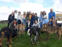 DÜNYA HAYVANLARı KORUMA GÜNÜ - Sağlık Öğrencilerinden Barınaklara Ziyaret