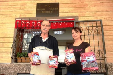 Sokak Hayvanları Konak'ta Aç Kalmıyor