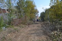 İnegöl'de Ağaç Katliamına Tepki