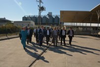 SELIMIYE CAMII - Kayseri Ticaret Borsası'ndan ETB'ye Ziyaret