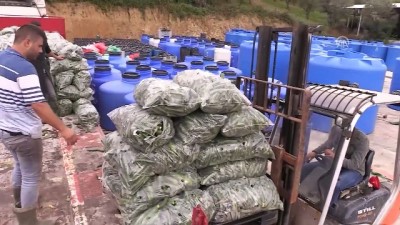 'Turşucu Köy' İhracatta Hedef Büyüttü