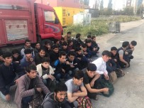 EMNİYET AMİRLİĞİ - Van'da 58 Yabancı Uyruklu Kaçak Şahıs Yakalandı