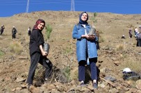 Erzincan'da Gençlerin Eliyle 4 Bin Fidan Toprakla Buluştu Haberi