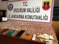 Erzurum'da 500 Tüpe Yakın Kobra Yılanı Zehri Ele Geçirildi