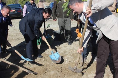 Hükümlüler Erzincan'da Fidan Dikti