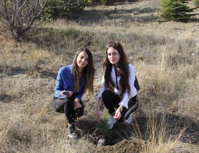 Kırıkkale'de Üniversiteli Gençler Fidan Dikti