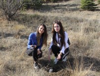 ORMAN İŞLETME MÜDÜRÜ - Kırıkkale'de Üniversiteli Gençler Fidan Dikti