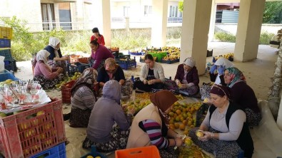 Kısır Gününde Ortaya Çıkan Fikir Mahallenin Kadınlarını İş Sahibi Yaptı