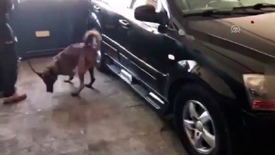 Malatya'da 20 Kilo 810 Gram Eroin Ele Geçirildi