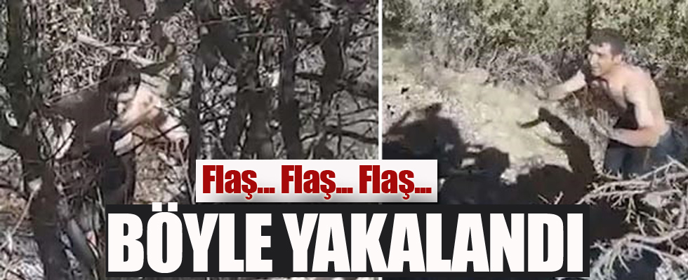 PKK'nın kritik isminin yakalanma anı kamerada!