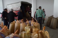 TOPRAK MAHSULLERI OFISI - TMO Fındık Alımına Başladı