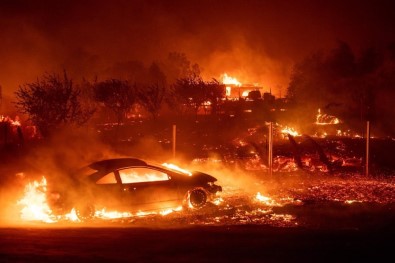 ABD'de Orman Yangını Açıklaması 9 Ölü