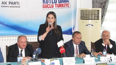 AK Parti'li Sarıeroğlu Çorum'da STK Temsilcileriyle Biraraya Geldi