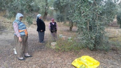 İzmir Ve İlçelerinde Atatürk Özlem Ve Saygıyla Anıldı