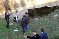Kastamonu'da Kaybolan Yaşlı Adam Mezarlıkta Ölü Bulundu Haberi