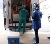 CUMHURIYET ÜNIVERSITESI - Organlarıyla 3 Kişiye Umut Oldu