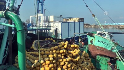 Balıkçılar Bu Kez Hamsi İçin 'Vira Bismillah' Dedi