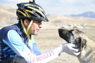 İpekyolu'nda Pedallar Sokak Hayvanları İçin Çevrildi