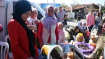 CANER YıLDıZ - Kadınlar Turşu Ve Reçelleriyle Yarıştı
